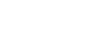 Quality Evaluation Services International - White Logo